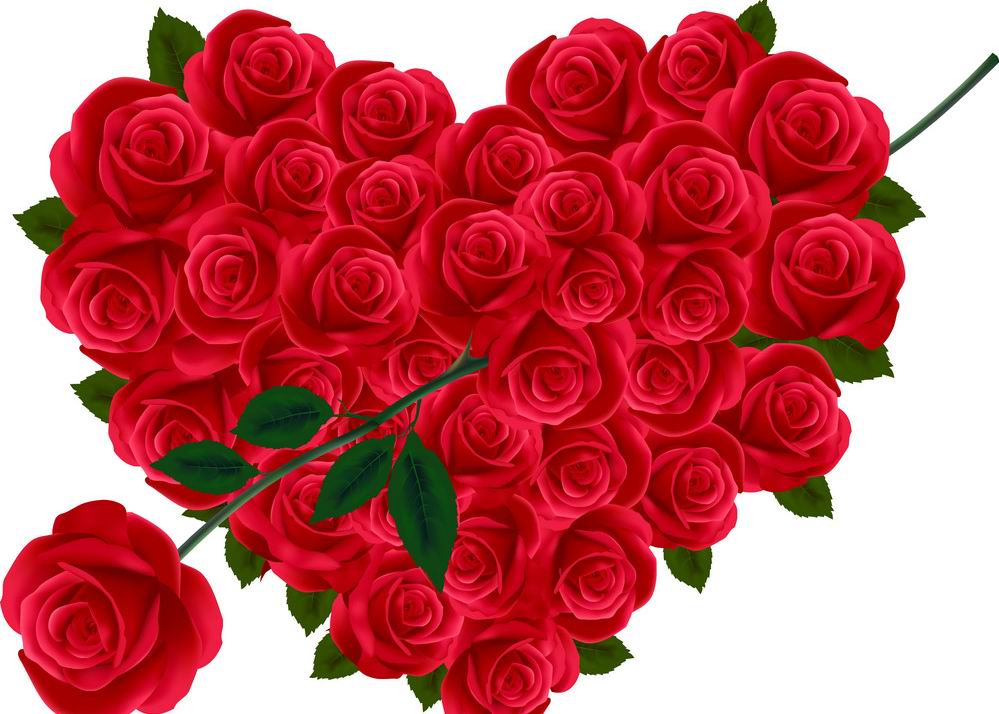roses valantine heart