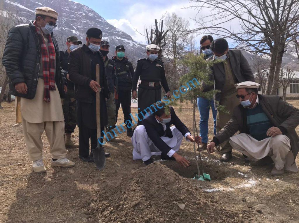 upper chitral plantation campaign kicked off scaled
