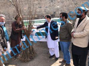 upper chitral plantation campaign kicked off2
