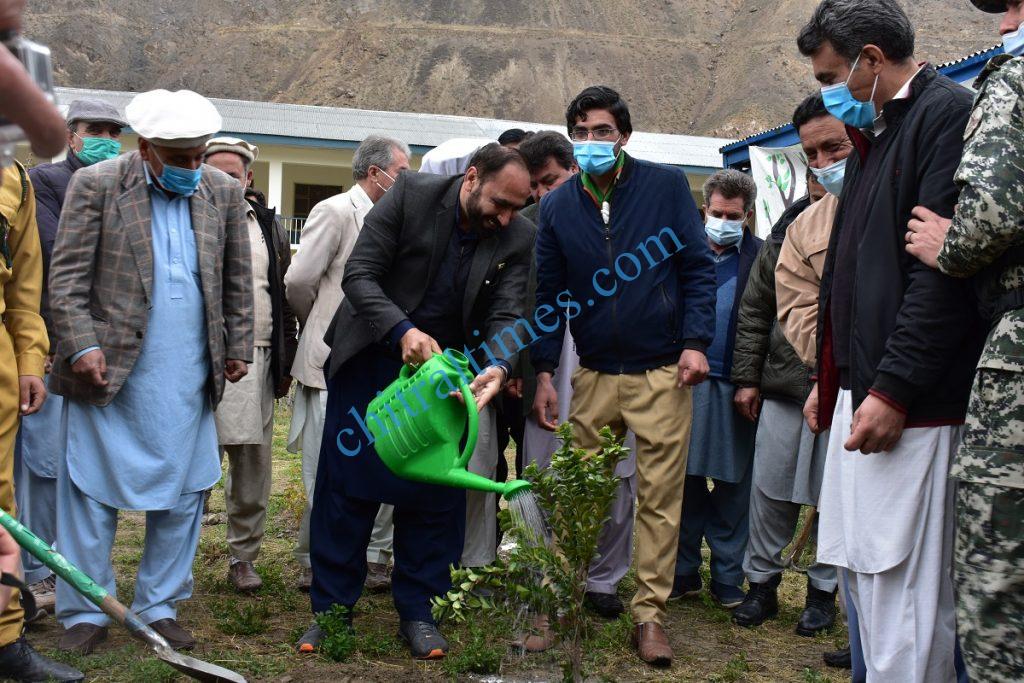 Zulfiqar ul Muluk DEO Upper Chitral planting a tree during the event