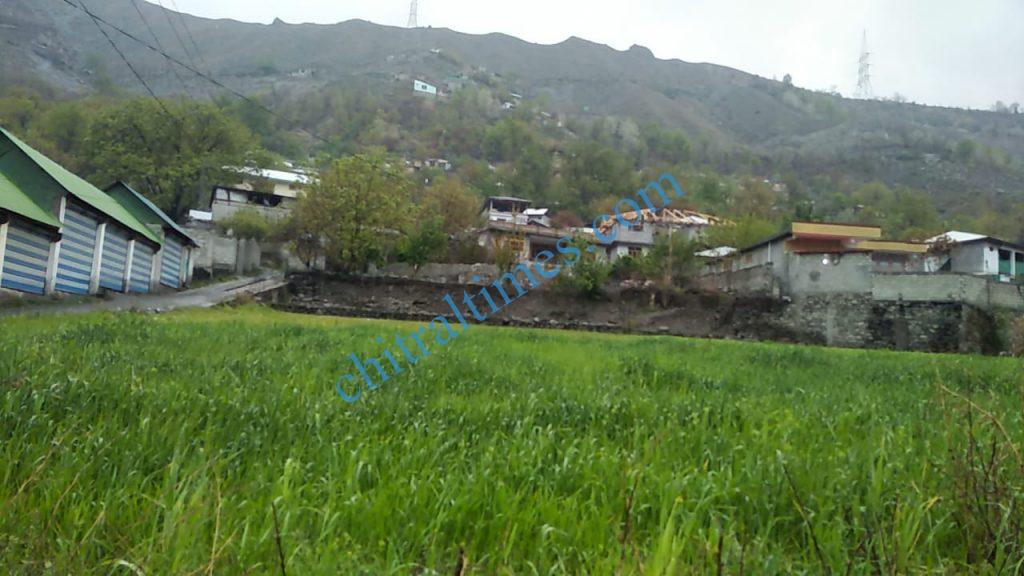 chitral town weather rain