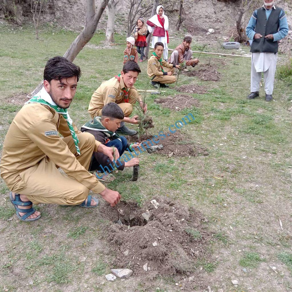karimabad valley plantation campaign boy scouts chitral 2 scaled