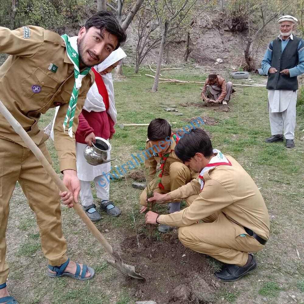 karimabad valley plantation campaign boy scouts chitral 4