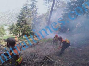 chitraltimes fire brokeout chitral forest