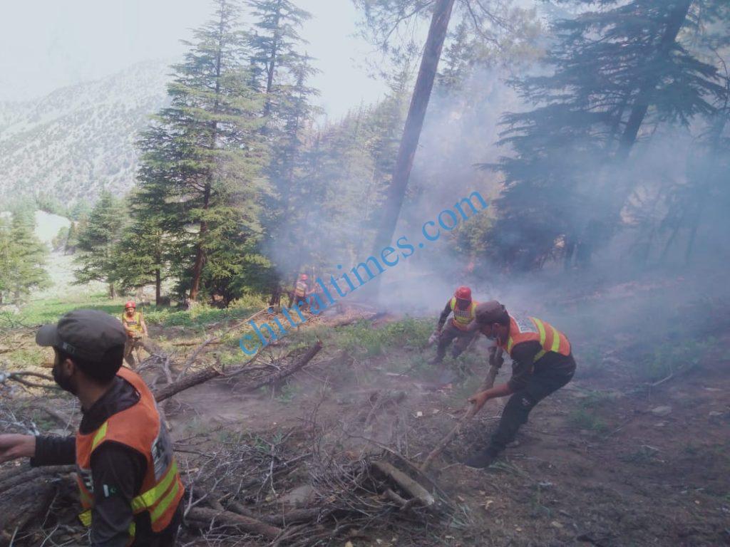 chitraltimes fire brokeout chitral forest scaled