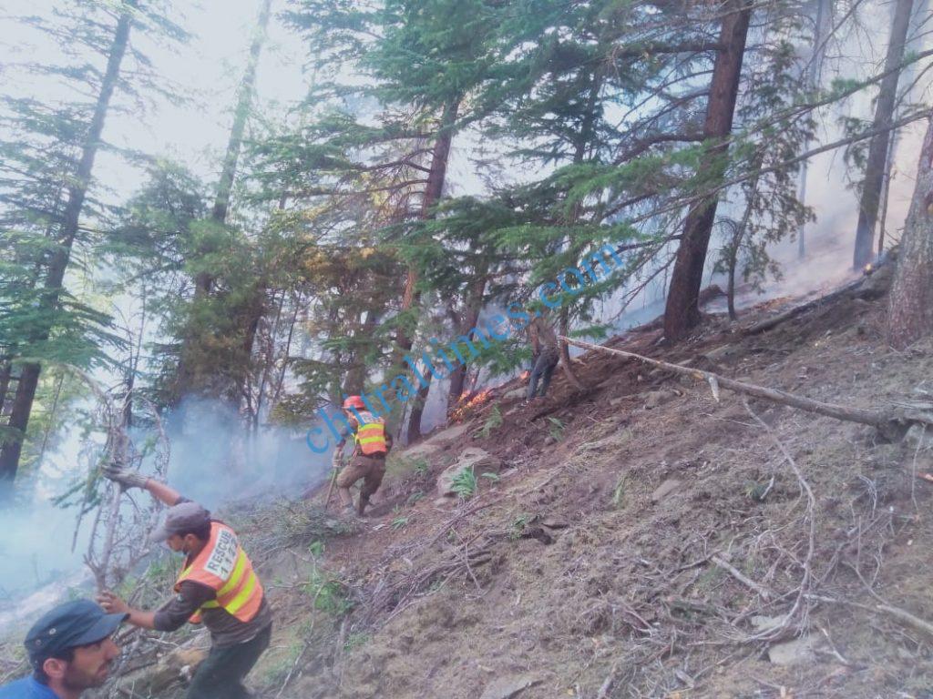 chitraltimes forest caught fire4