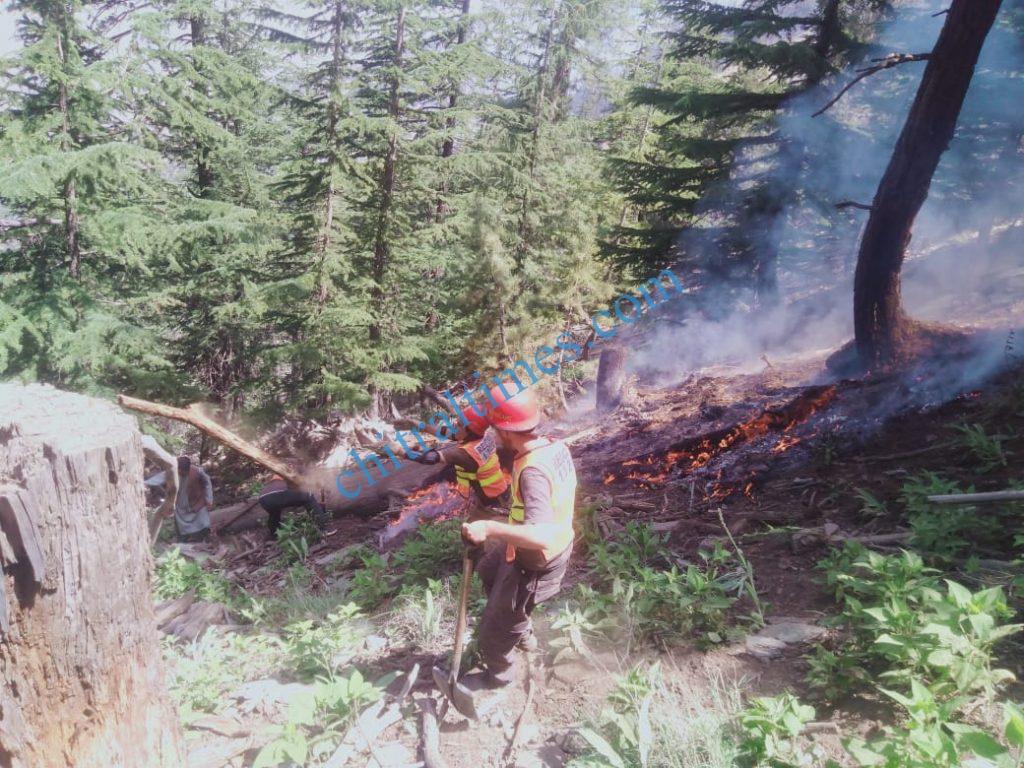 chitraltimes forest caught fire6
