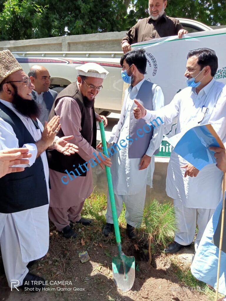 Chitral Times - The voice of Chitral | اپرچترال میں بلین ٹری سونامی پروگرام کے تحت پودے لگائےگئے، ممبران اسمبلی کی شرکت chitraltimes upper chitral plantation campaign hidayat mpa