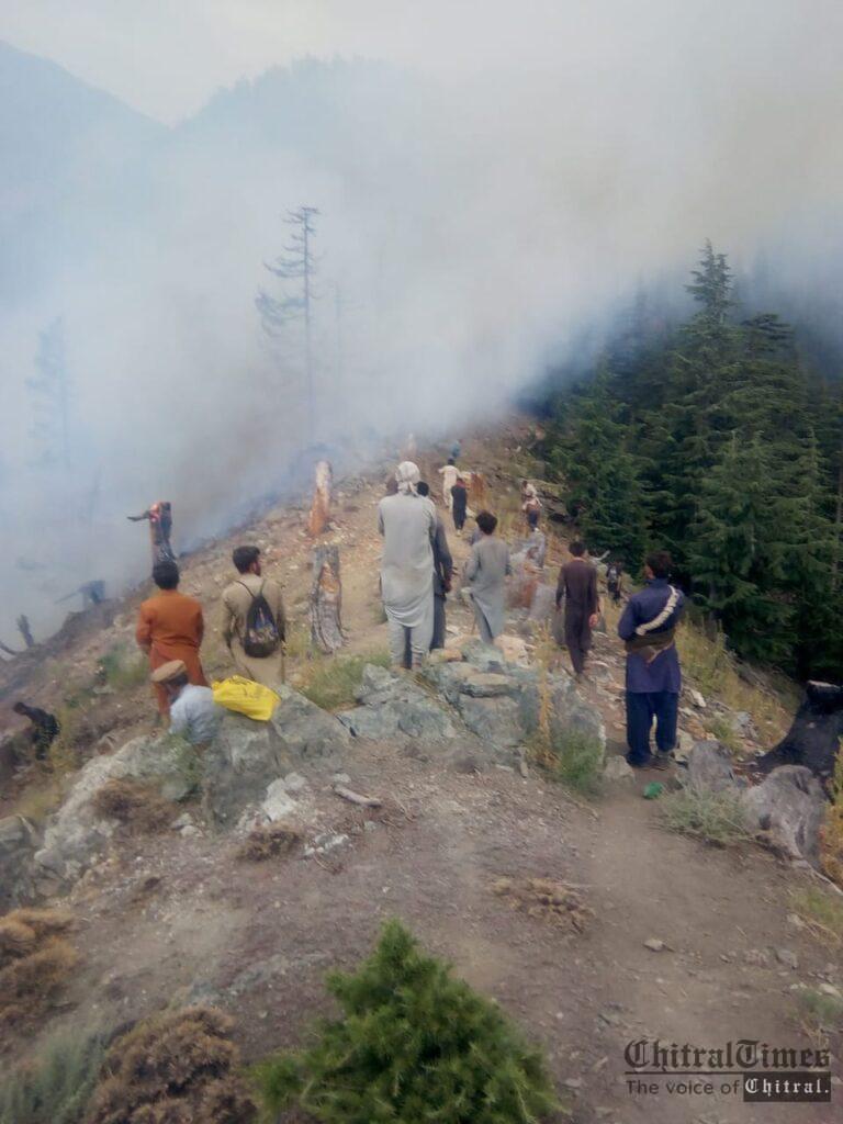 chitraltimes forest cought fire drosh chitral
