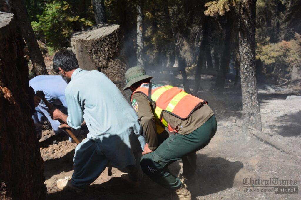 Chitral Times - The voice of Chitral | دروش کے جنگل میں لگی آگ پر جذوی قابو پالیا گیا، دوبارہ آگ بھڑک اُٹھنے کا خدشہ ہے۔ ریسکیو chitraltimes forest cought fire drosh chitral4