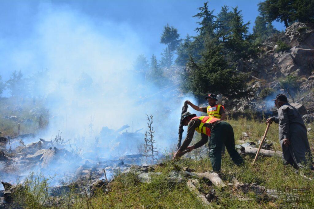 Chitral Times - The voice of Chitral | دروش کے جنگل میں لگی آگ پر جذوی قابو پالیا گیا، دوبارہ آگ بھڑک اُٹھنے کا خدشہ ہے۔ ریسکیو chitraltimes forest cought fire drosh chitral5