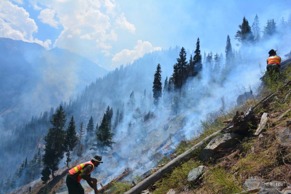 chitraltimes forest cought fire drosh chitral6