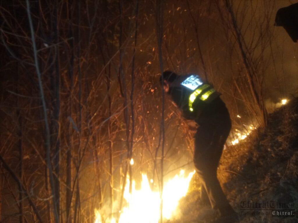 Chitral Times - The voice of Chitral | چترال شہر کے نواحی علاقہ لینک دنین کے مقام پر جنگل میں لگی آگ پر قابوپالیا گیا ۔۔ ریسکیو1122 chiraltimes forest cought fire lanik chitral2