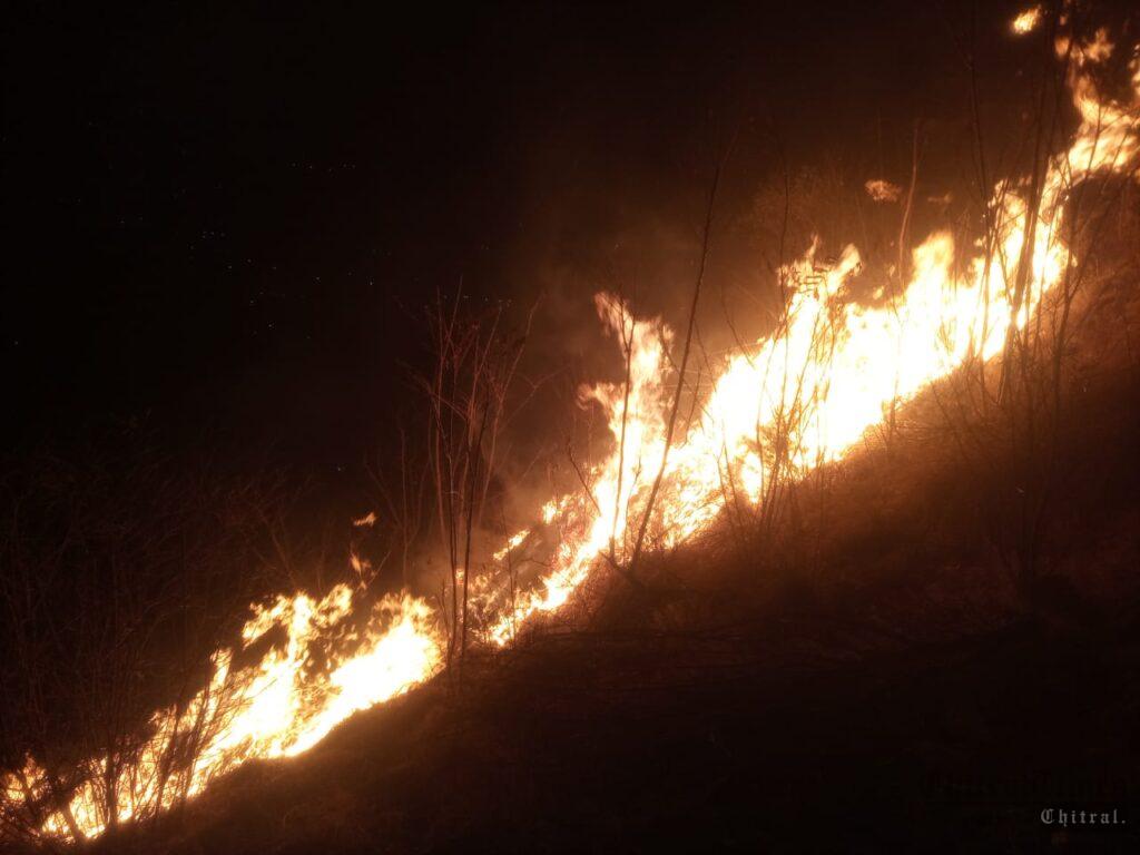 chiraltimes forest cought fire lanik chitral3 scaled