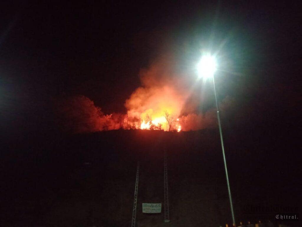 chiraltimes forest cought fire lanik chitral7