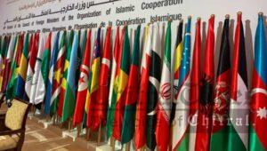 OIC flags