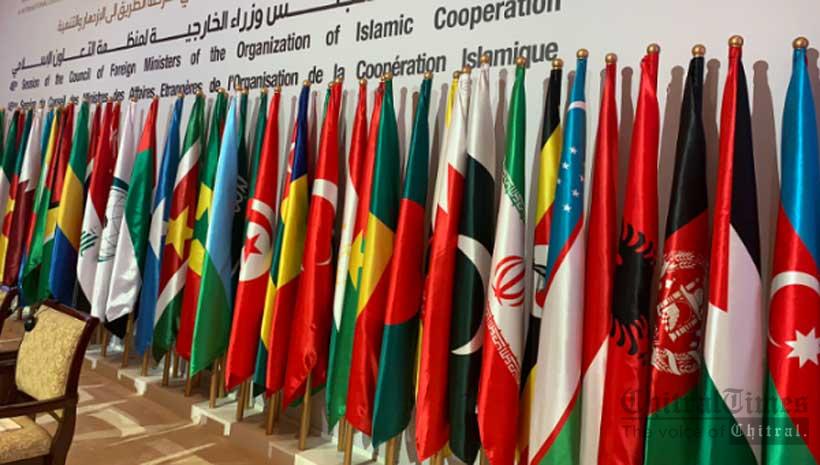 OIC flags