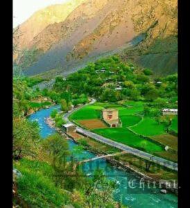 chitraltimes shoghore chitral lower 6