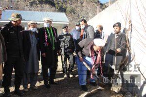chitraltimes deputy commissioner lower chitral khuli kachehri kalash valley tree distribution2