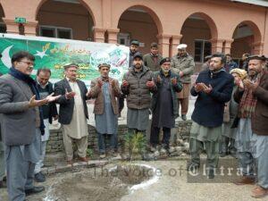 chitraltimes forest department chitral plantation drive cmhs5