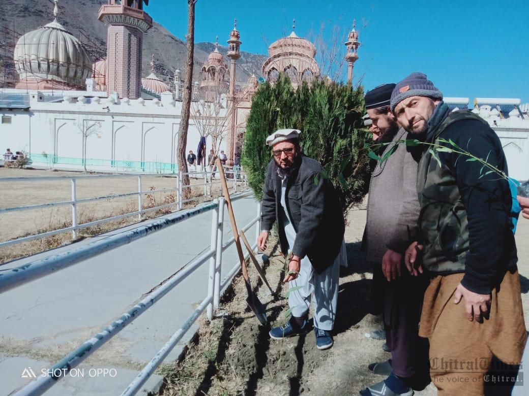 پودے لگانا سنت رسول ؐ ہے، خطیب شاہی مسجد چترال