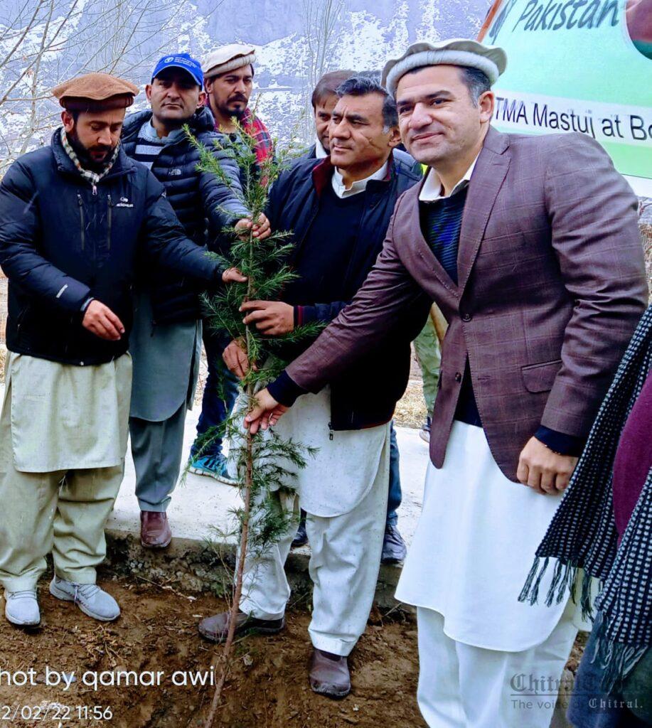 chitraltimes plantation drive upper chitral dc afridi inaugurated campaign ismaili council
