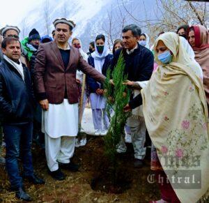 chitraltimes plantation drive upper chitral dc afridi inaugurated campaign3