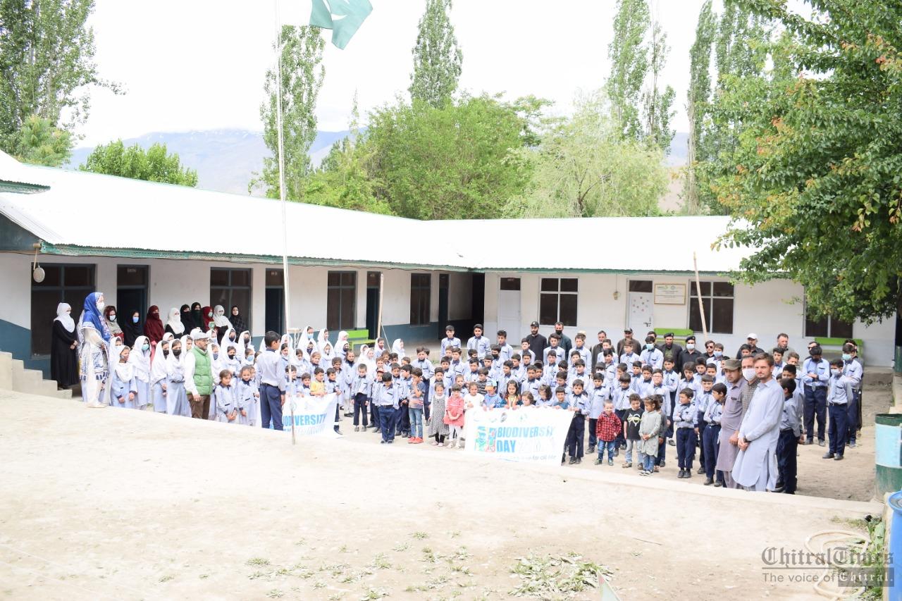 chitraltimes snow leopard foundation organizes program at booni school
