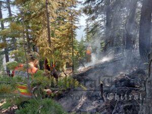 chitraltimes Ursoon drosh forest caught fire rescue team 1