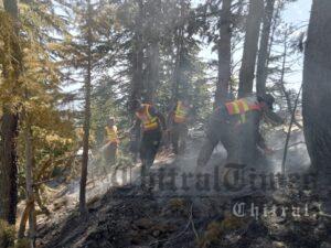 chitraltimes Ursoon drosh forest caught fire rescue team 3
