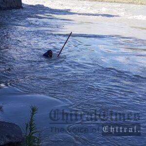chitraltimes women suicide chitral river rescue 1122 operation 5