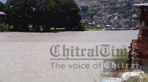 chitraltimes chitral river flood situation11