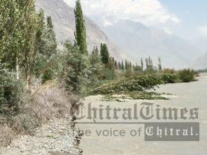 chitraltimes khuzh mastuj road washed away in heavy flood crops trees 1