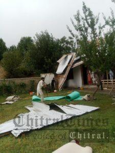 chitraltimes kosht houses damaged due to heavy rain