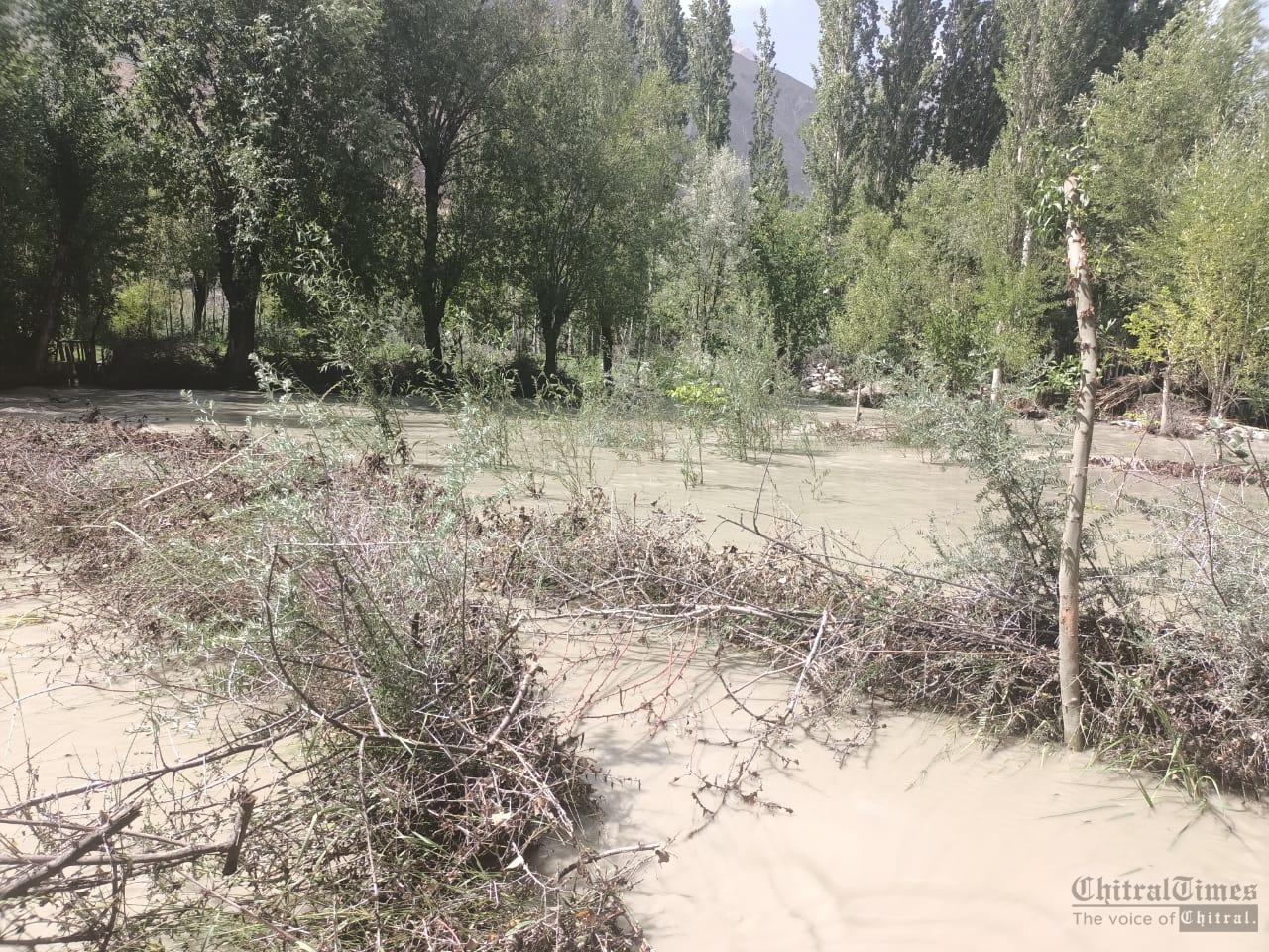 chitraltimes mastuj flood pasum nala washed away crops trees11
