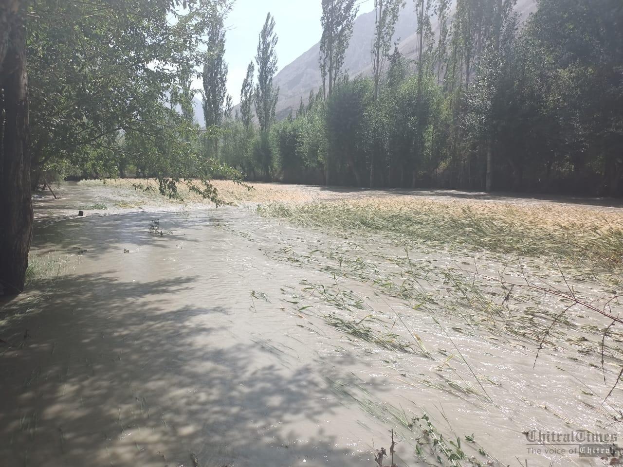 chitraltimes mastuj flood pasum nala washed away crops trees6