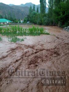chitraltimes terich flood upper chitral