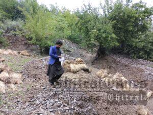 chitraltimes terich flood upper chitral2