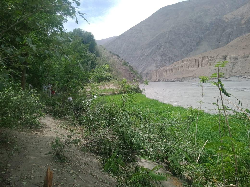 chitraltimes Barenis river irosion and flood hit agriculture land