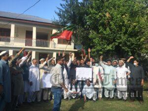 chitraltimes pti workers protest against ecp