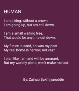 zainab poetry 1