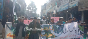 chitraltimes pak army solidarity rally6