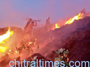 chitraltimes rescue 1122 recue operations kp 5