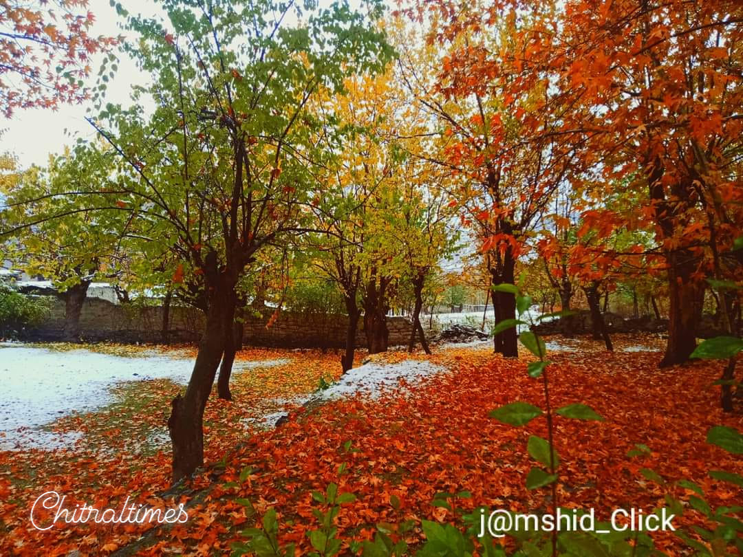 chitraltimes snow fall and autumn colors upper chitral mulkhow
