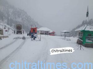chitraltimes lowari snowfall