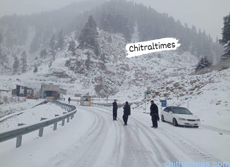 chitraltimes lowari snowfall lawari chitral site