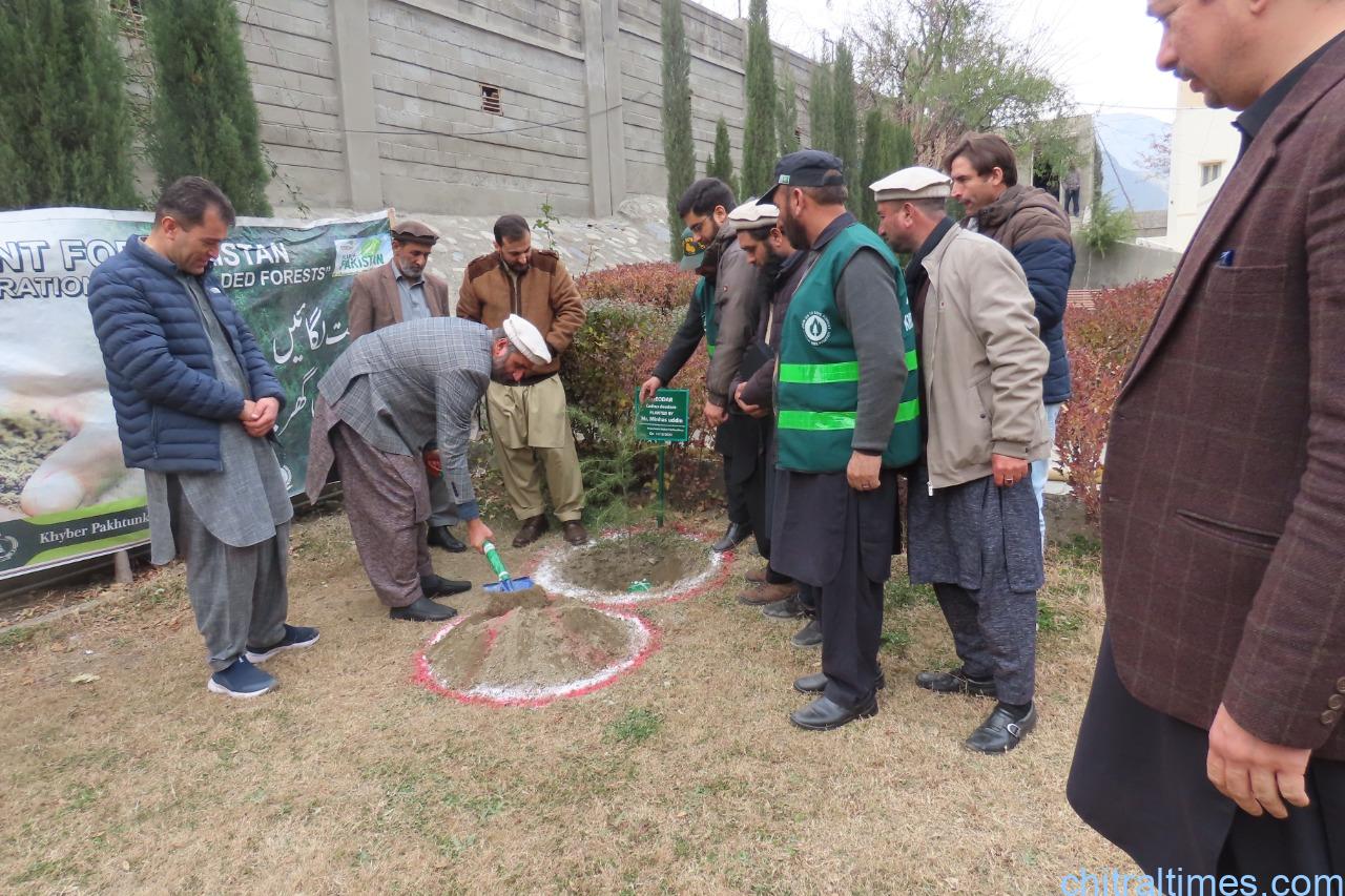 chitraltimes mountains day observed in akhss chitral organized by glof II project 4