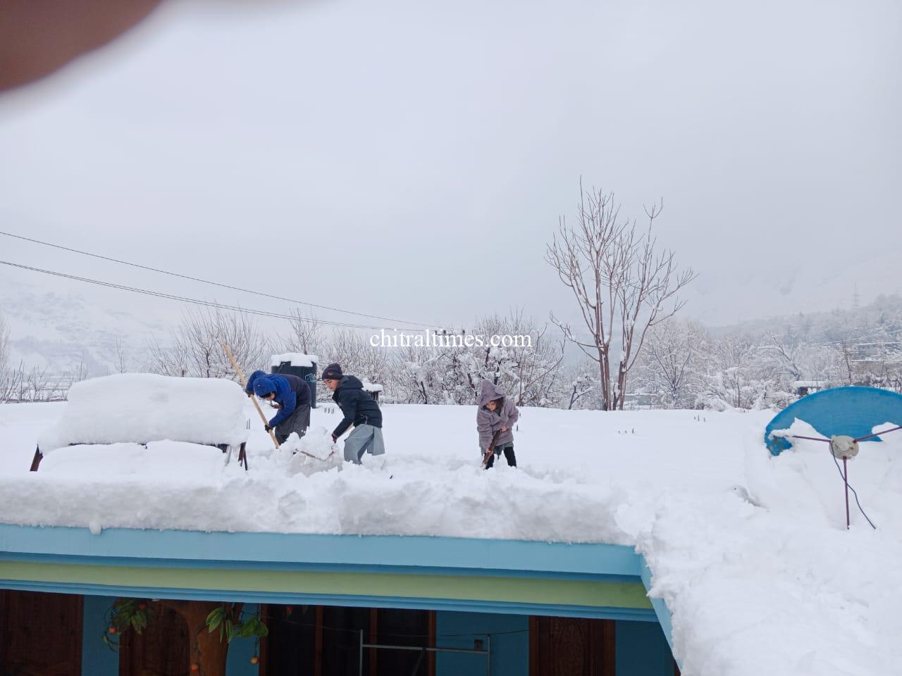 chitraltimes chitral town snow fall 4