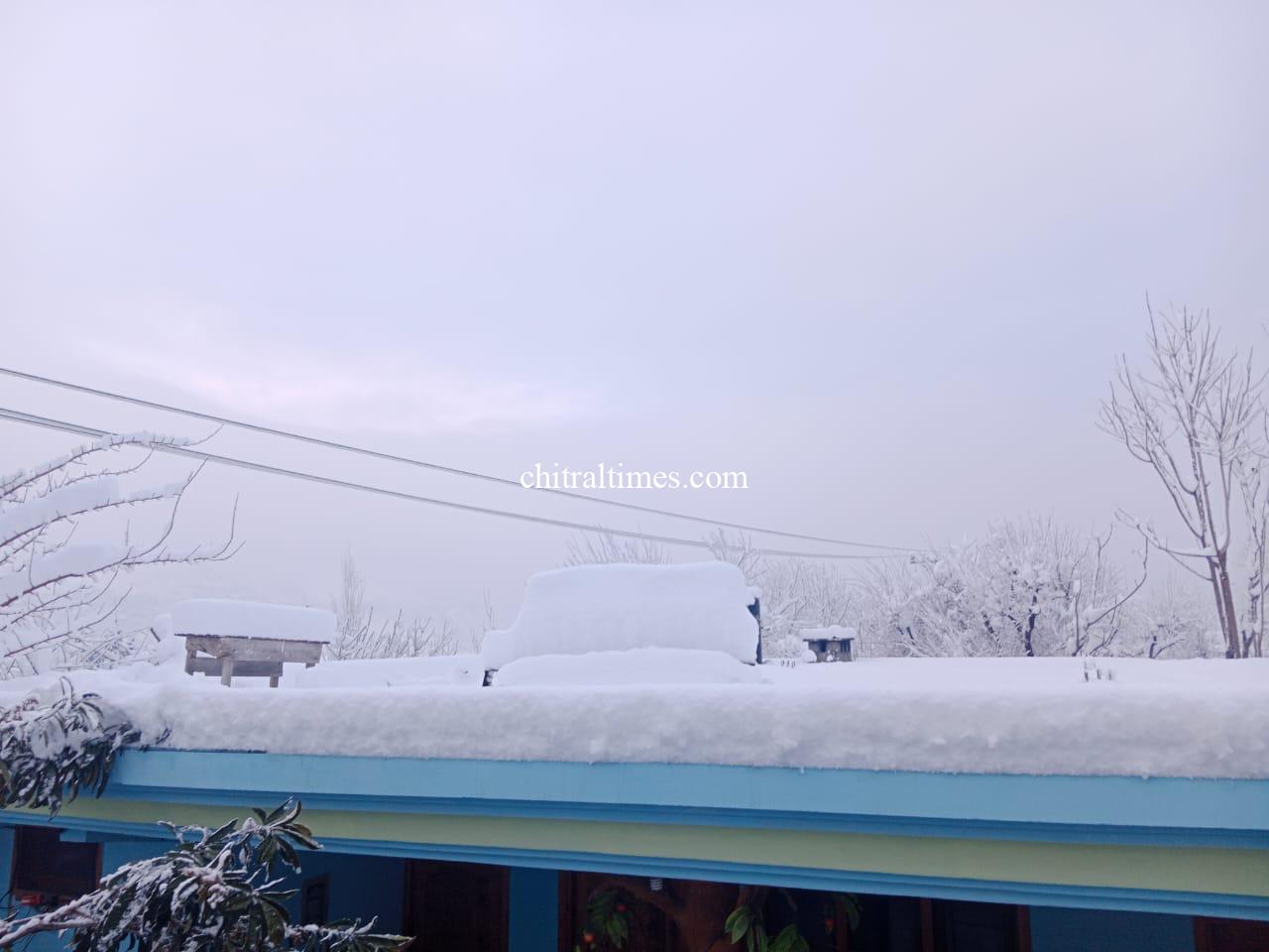 chitraltimes chitral town snow fall 6