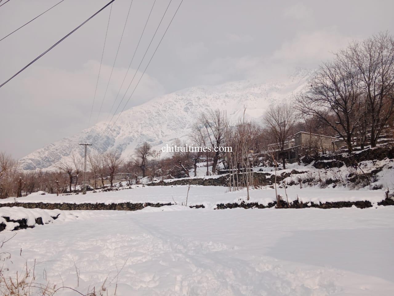 chitraltimes chitral town snow fall 8